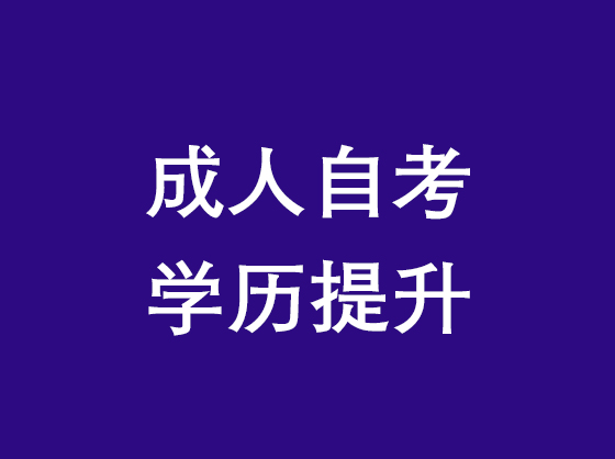 自考学历提升网站优化