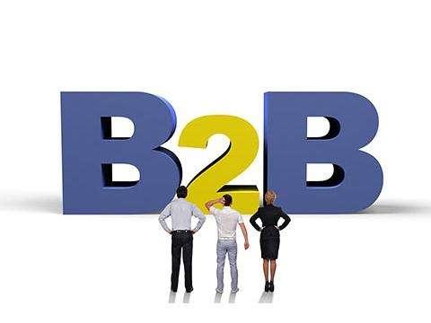 B2B平台网站建设